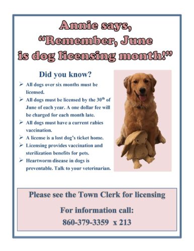 Dog license poster 2019