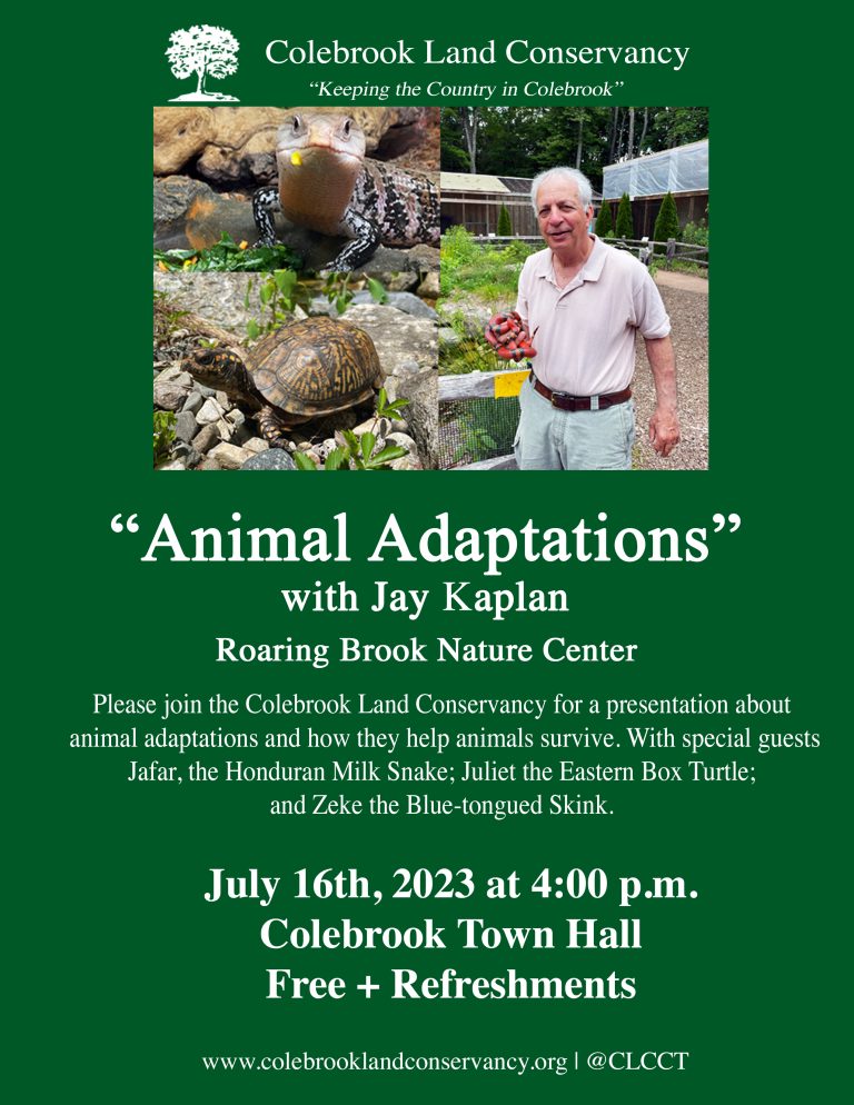 AnimalAdaptationsPosterJuly162023copy.jpg Town of Colebrook